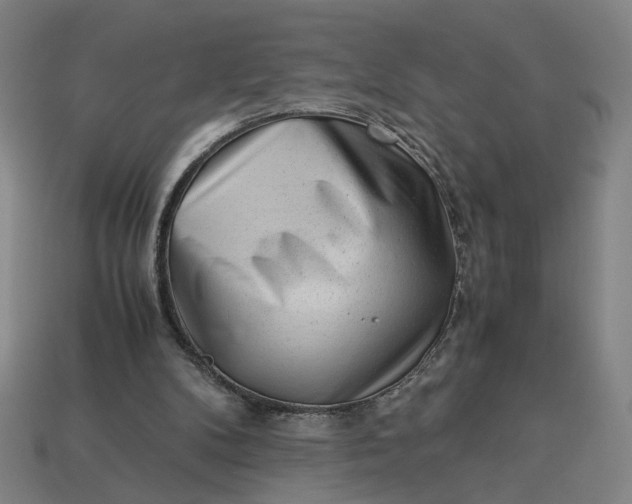 X0000113240104200910011334