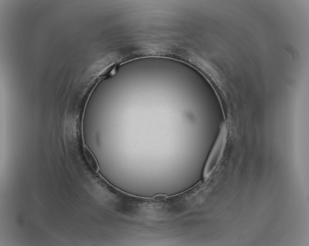 X0000113240105200910011334