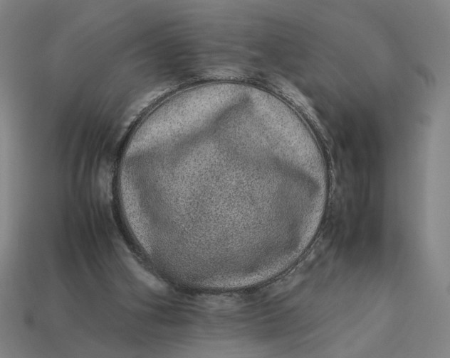 X0000113240106200910011334