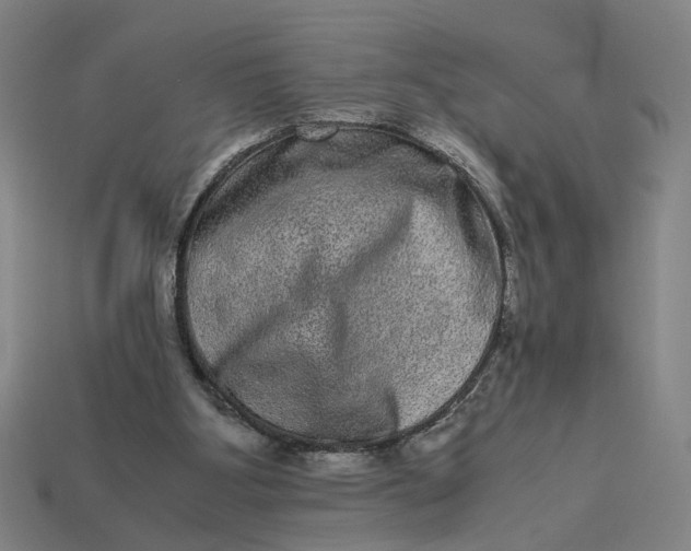 X0000113240107200910011334