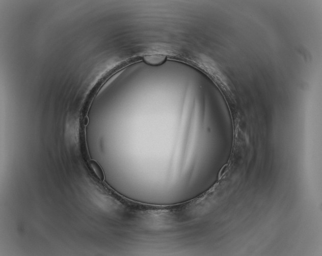 X0000113240108200910011334