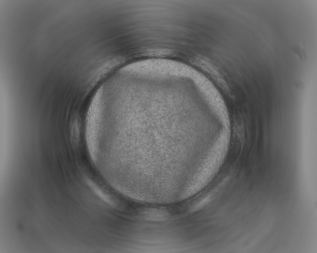 X0000113240110200910011334