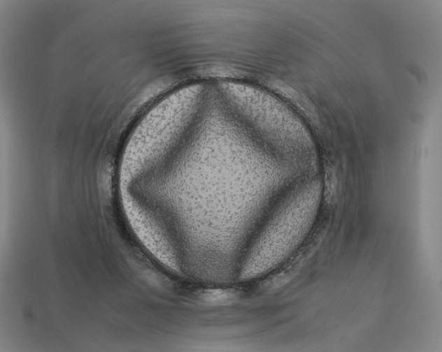 X0000113240111200910011334