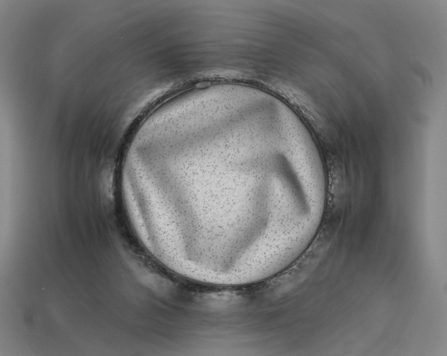 X0000113240112200910011334