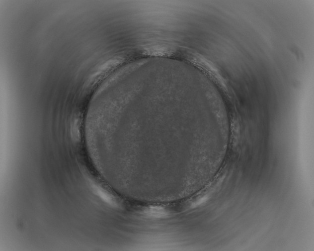 X0000113240114200910011334