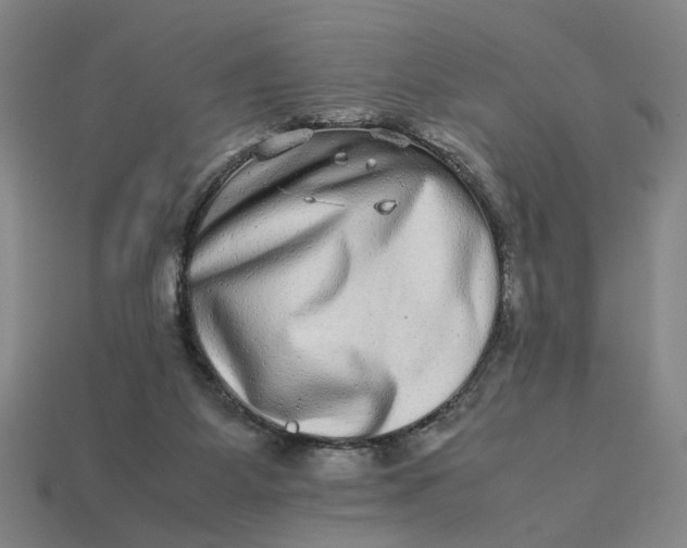 X0000113240115200910011334