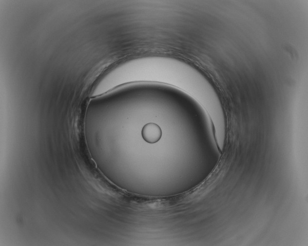 X0000113240116200910011334