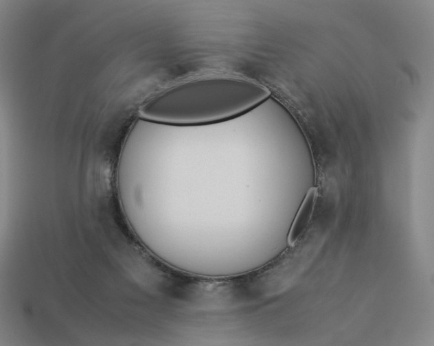 X0000113240117200910011334