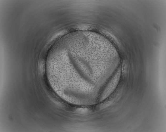 X0000113240119200910011334