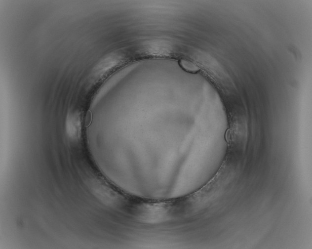 X0000113240120200910011334