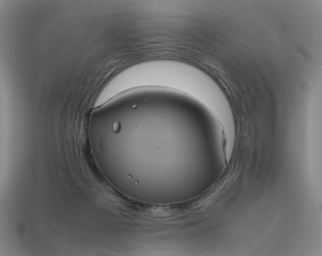 X0000113240121200910011334