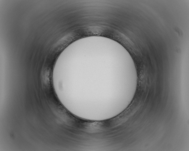 X0000113240122200910011334