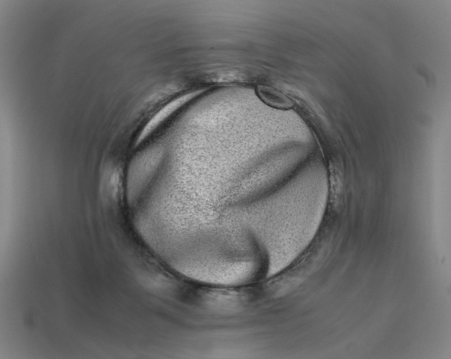 X0000113240123200910011334