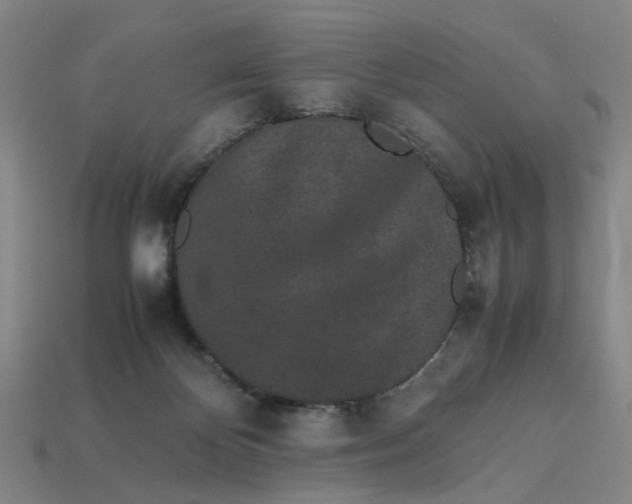 X0000113240124200910011334