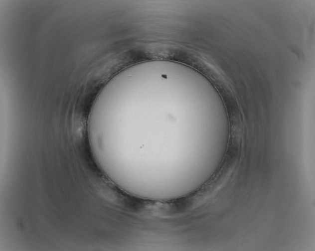 X0000113240125200910011334