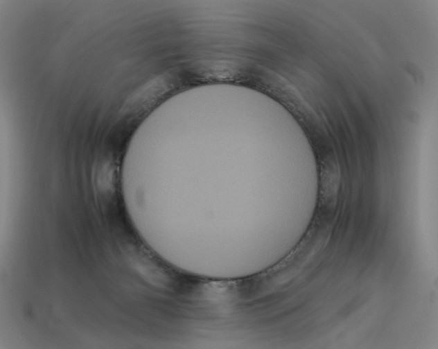 X0000113240126200910011334