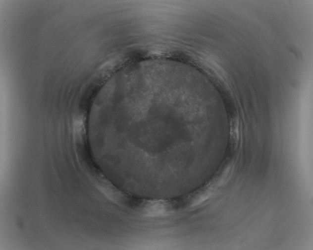 X0000113240127200910011334