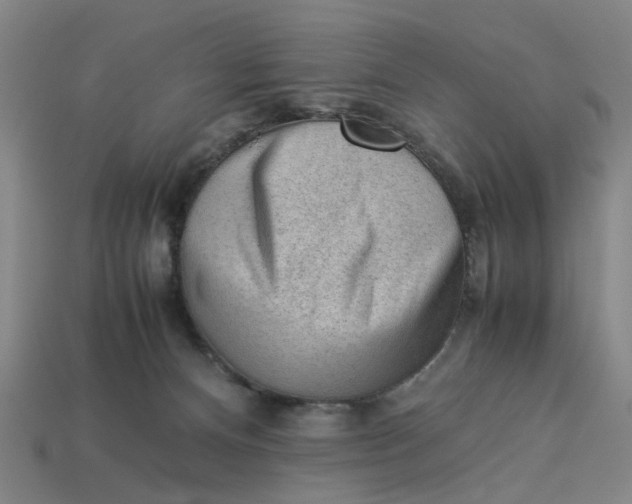 X0000113240128200910011334