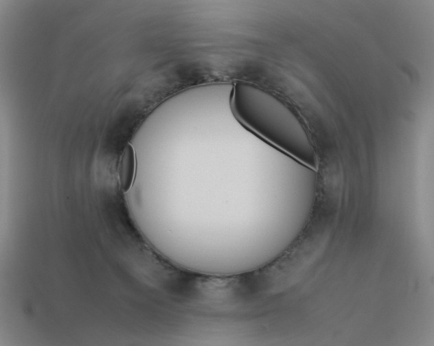 X0000113240129200910011334