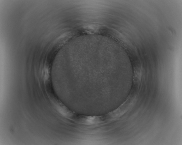 X0000113240130200910011334