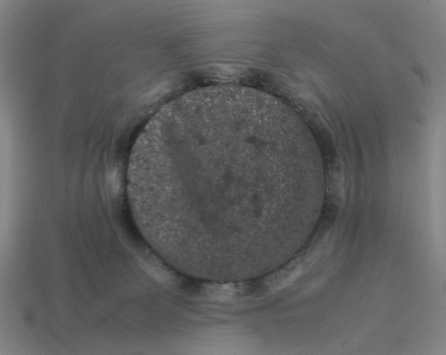 X0000113240131200910011333