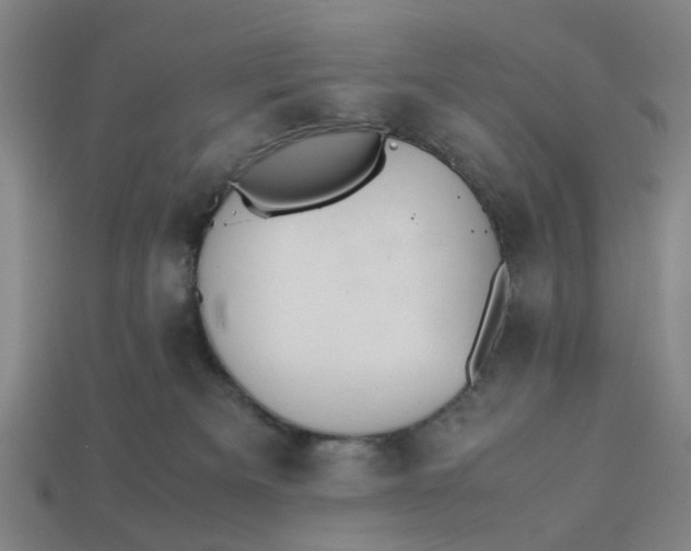 X0000113240133200910011333