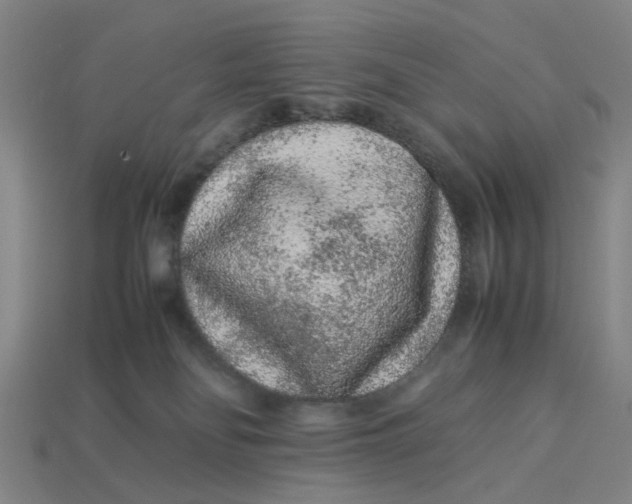 X0000113240134200910011333