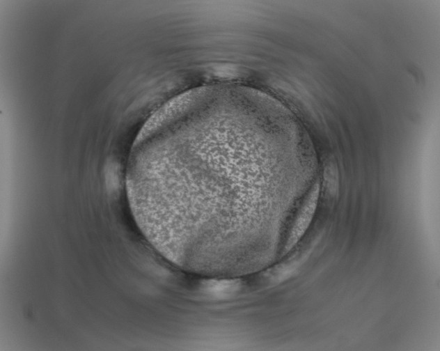 X0000113240135200910011333