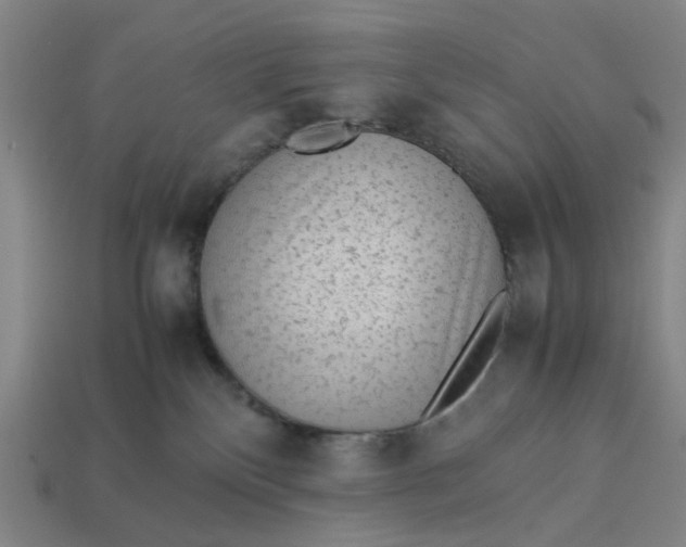 X0000113240136200910011333