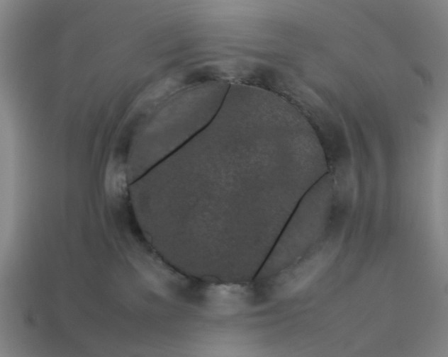 X0000113240137200910011333