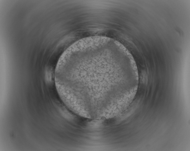 X0000113240138200910011333