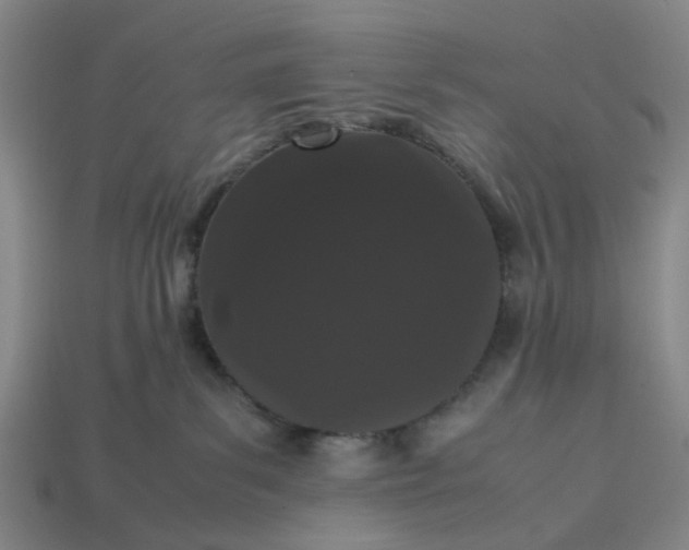 X0000113240139200910011333