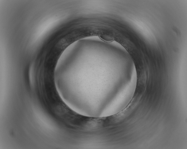 X0000113240140200910011333