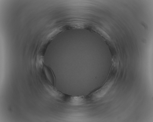 X0000113240141200910011333