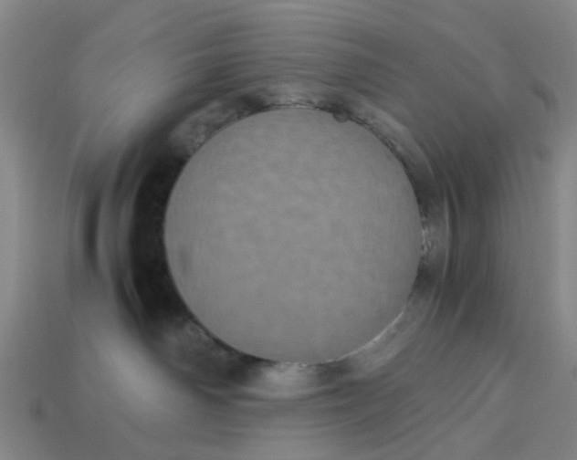 X0000113240142200910011333