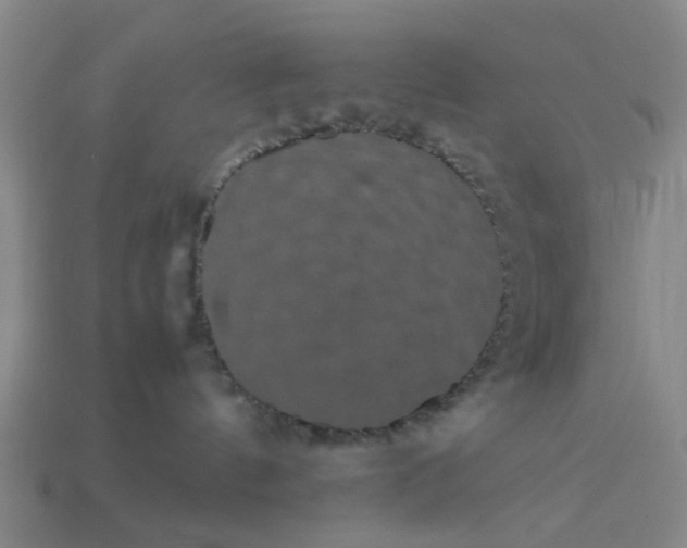 X0000113240144200910011333