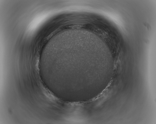 X0000113240146200910011333