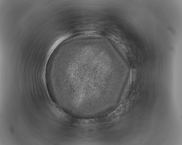 X0000113240147200910011333