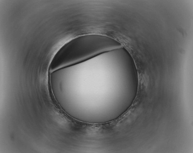 X0000113240148200910011333