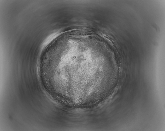 X0000113240149200910011333