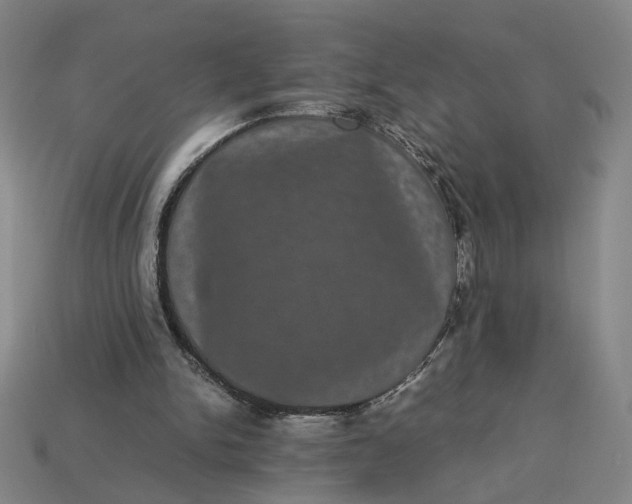 X0000113240150200910011333