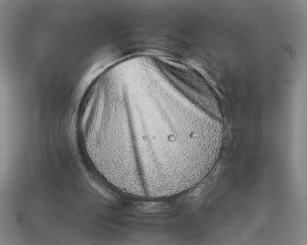 X0000113240151200910011333