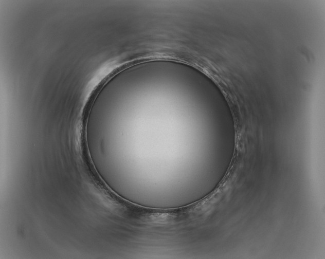 X0000113240152200910011333