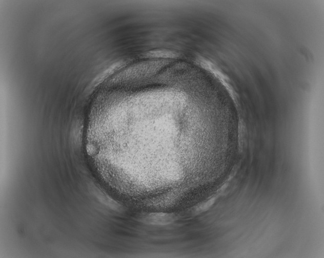 X0000113240153200910011333