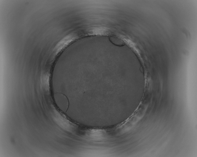 X0000113240154200910011333