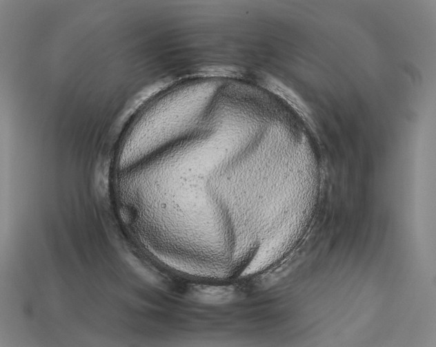 X0000113240155200910011333