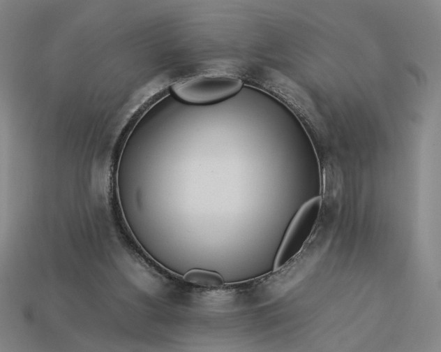 X0000113240156200910011333