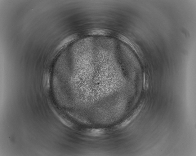 X0000113240157200910011333