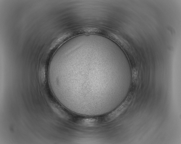 X0000113240158200910011333