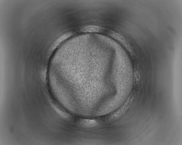 X0000113240159200910011333